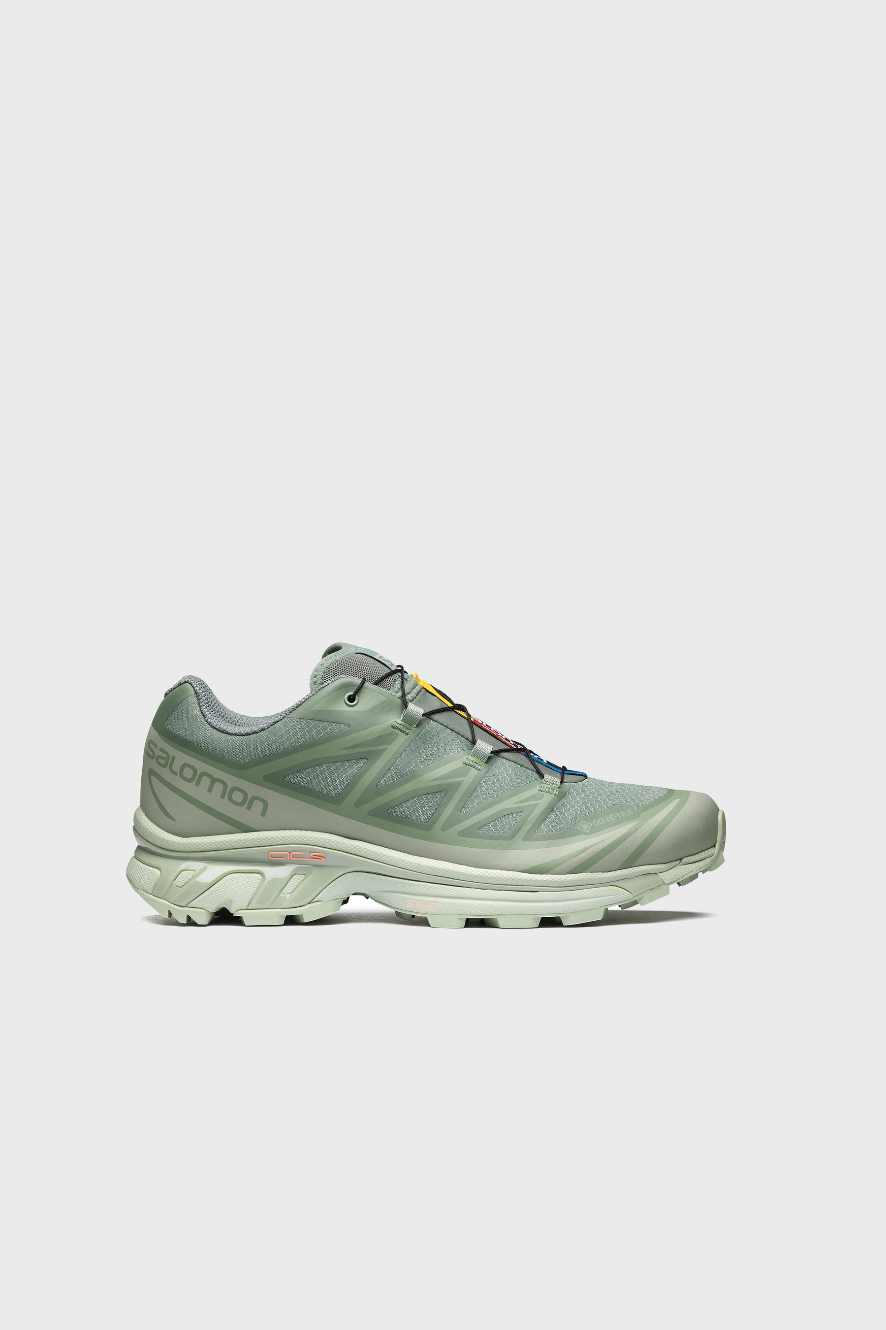 XT-6 GTX Desert Sage/ Lily Pad/Laurel Wreath 472920