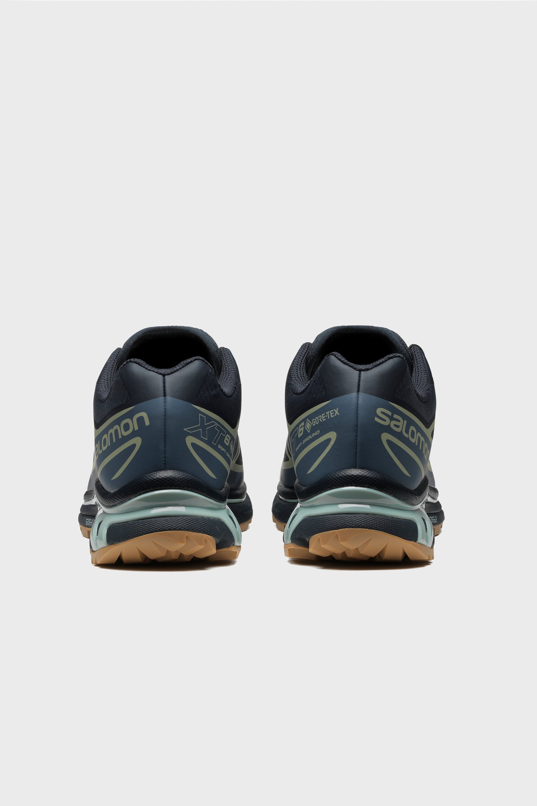 XT-6 GTX Carbon/Bering Sea/Desert Sage 472918
