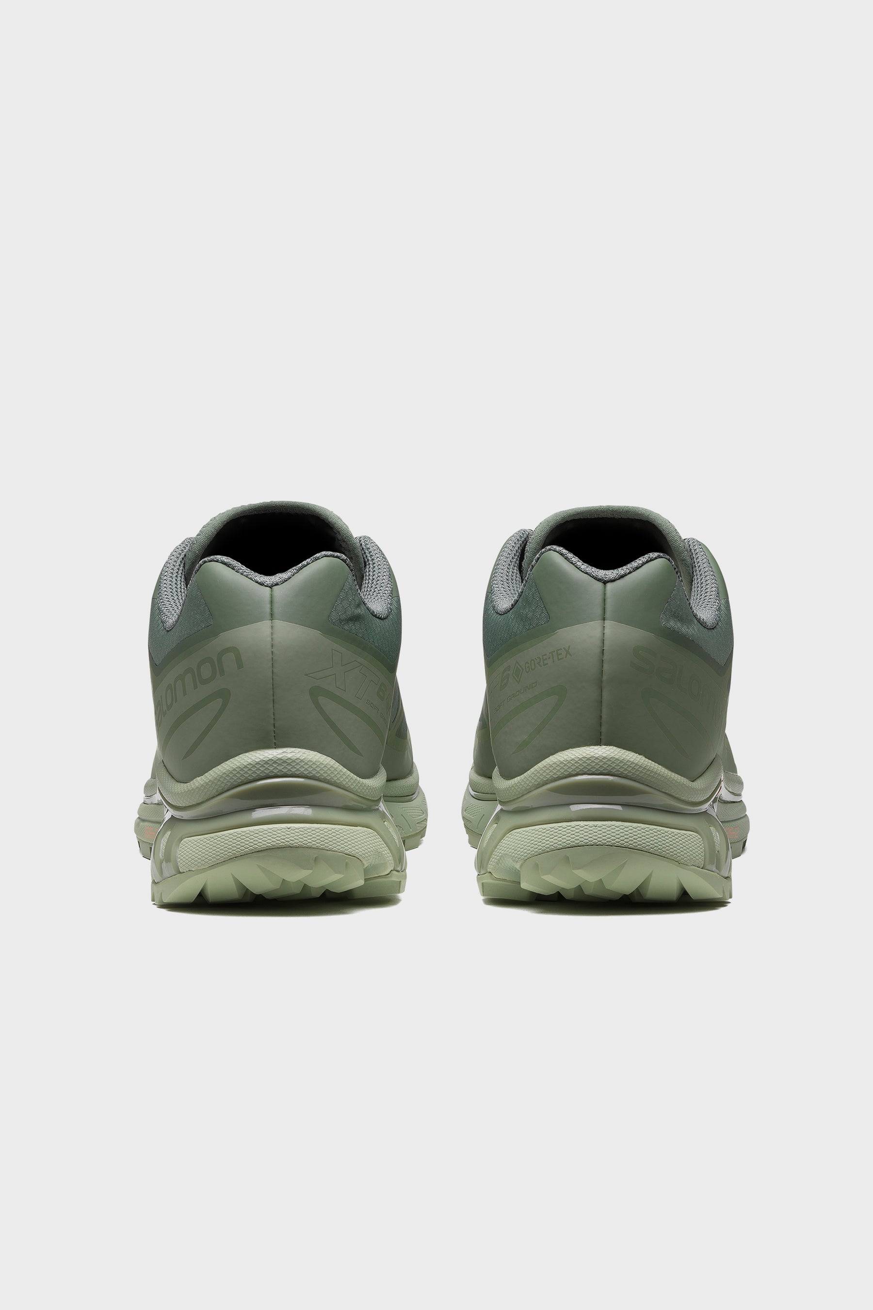 XT-6 GTX Desert Sage/ Lily Pad/Laurel Wreath 472920