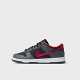 Kobe Dunk Low Protro Black/Multi-Color-Hot Punch IQ3919-001