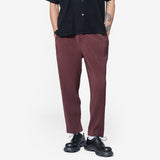 Colour Pleats Pant Edge Brown HP58-JF188-48