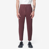 Colour Pleats Pant Edge Brown HP58-JF188-48