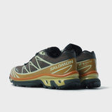 XT-6 GTX Delicioso/Tea/Brilliant Olive 492021