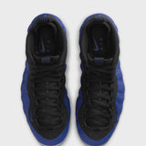 Nike Air Foamposite One DEEP ROYAL/DEEP ROYAL-BLACK-ICE HJ5195-400
