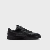Nike Dunk Low GORE-TEX BLACK HQ2053-001